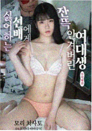 排球少年动漫热血